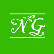 �ϸ�Ӱ���ֻ���