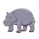 ����Ӱ��