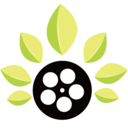 叶子影视电视修改版