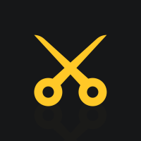 ��Ƶ��������רҵ��