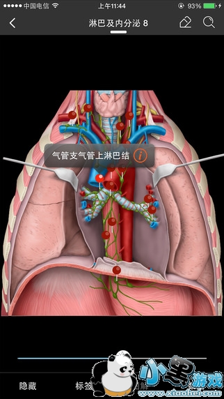 ��ӯҽѧhd������