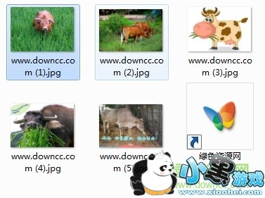 ��������ܻ����ţ���۲ݱ����