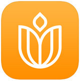 �������ʿر�