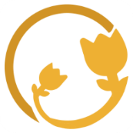 ���ҩ����ʽ