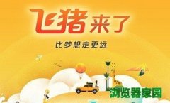 ��������app��