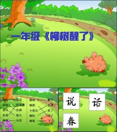 ��������ppt��