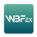 WBF����������