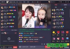 vv�������ع�