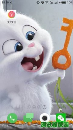 ����pͼ���԰�