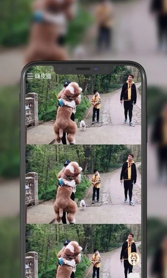 ��Ƥè����Ƶ���°�