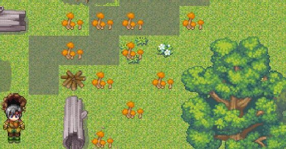 �ε۵�����������Ϸ