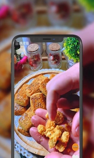 ��Ƥè����Ƶvip�޸İ�