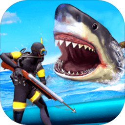 ����������Ϸ