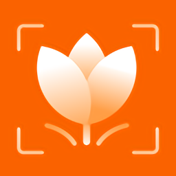 ����ʶ��