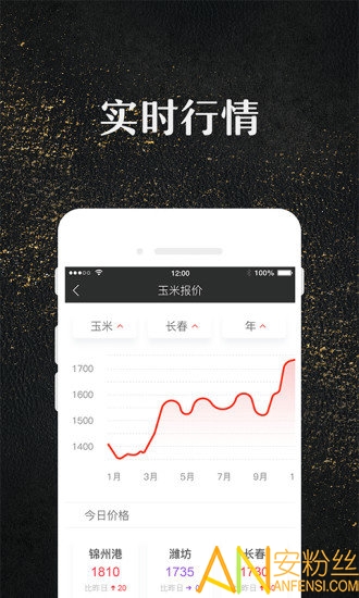 ���ױ�����