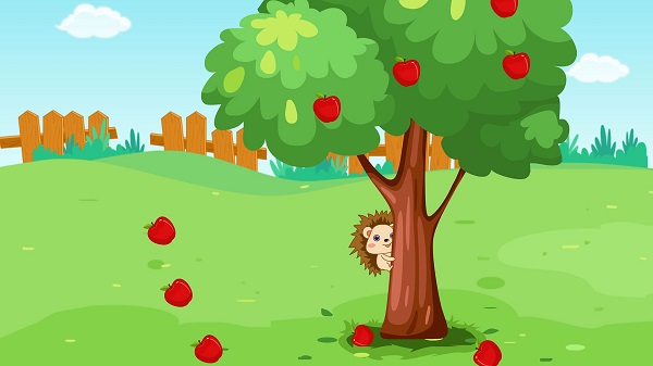 ������������Աapp