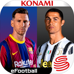 ʵ����������