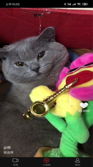 �����ɶ���Ƶapp�������°�