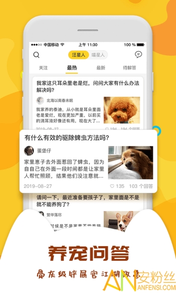 爱宠大陆app 爱宠大陆手机版下载