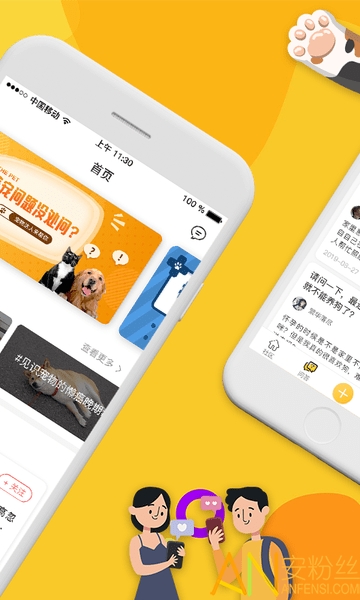 爱宠大陆最新版