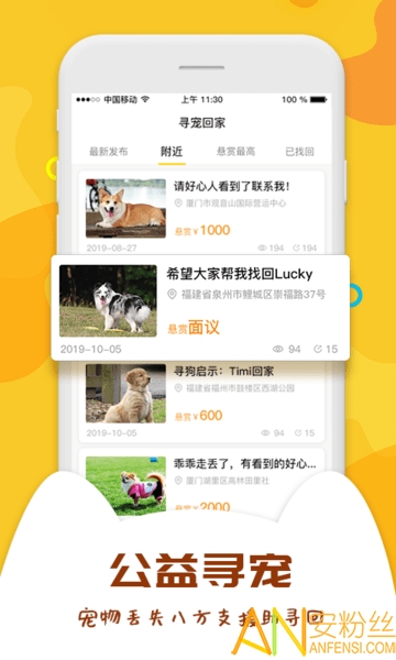 爱宠大陆最新版