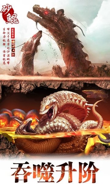 ɽ����������