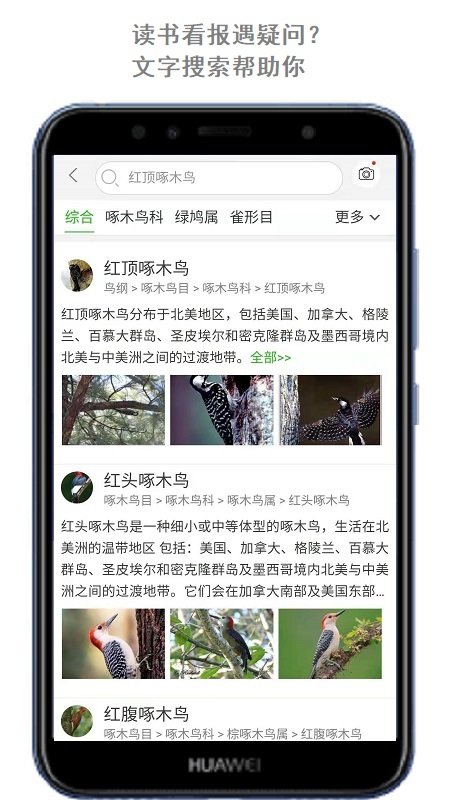 万物头条app