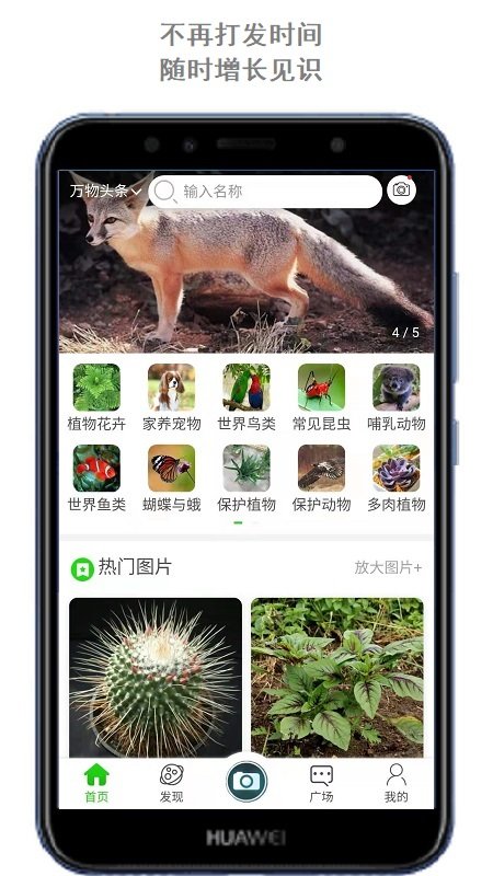 万物头条app