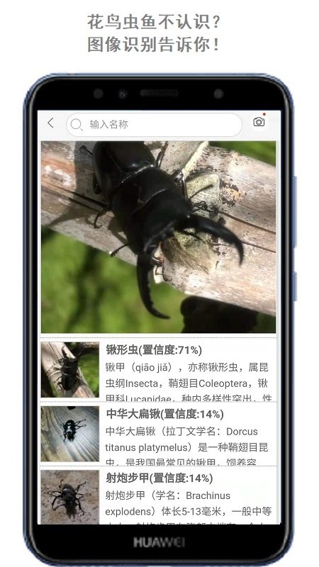 万物头条app