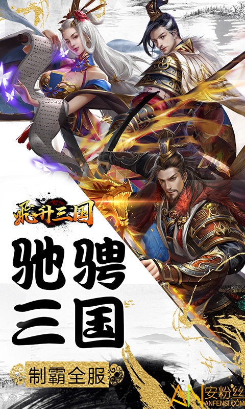 飞升三国九游版