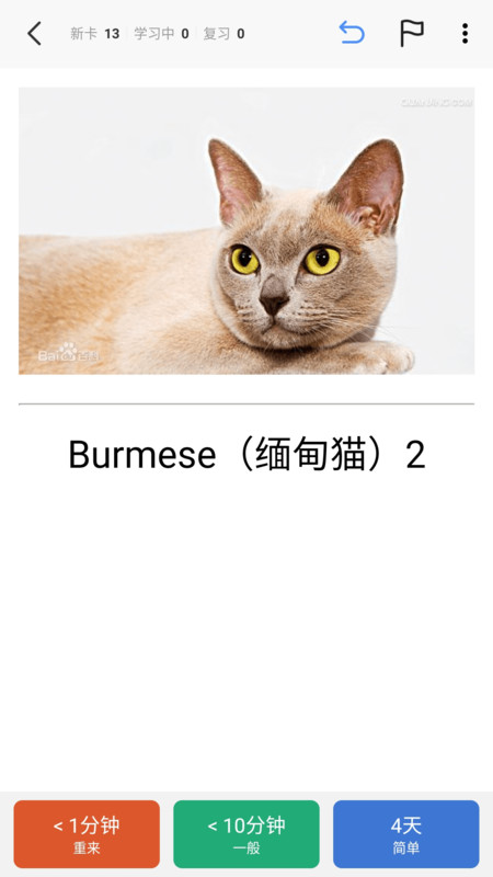 anki̽����app