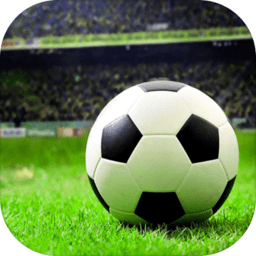 ����ھ�����