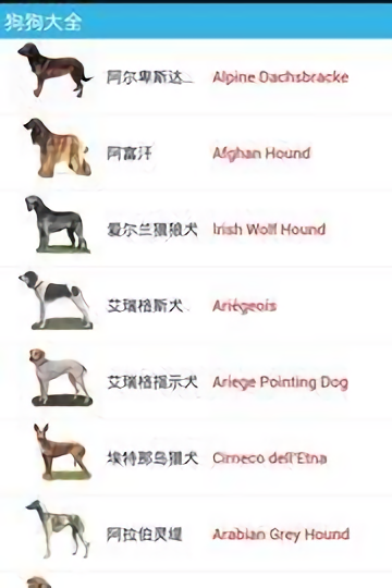 ������ȫapp