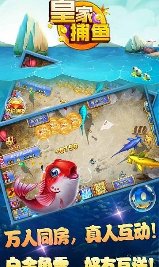 �ʼҶ��㲶��