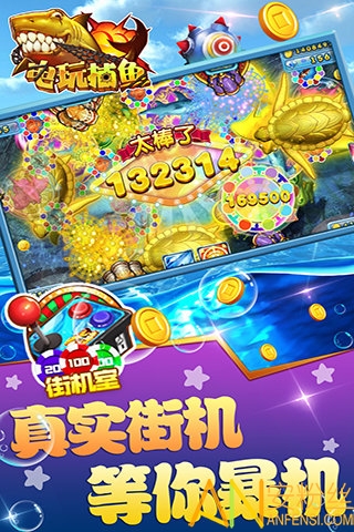 �µ��沶����Ϸ