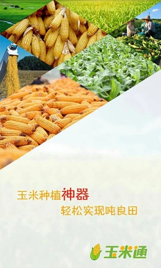 玉米通app