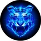 4��tv���ڷ��ʵ�ַ