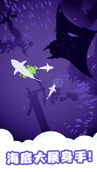 ����������Ϸ