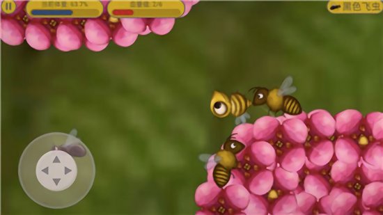 ��ζ���������è��Ϸ