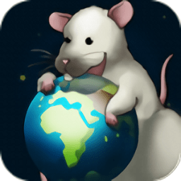 ��ζ���������è��Ϸ