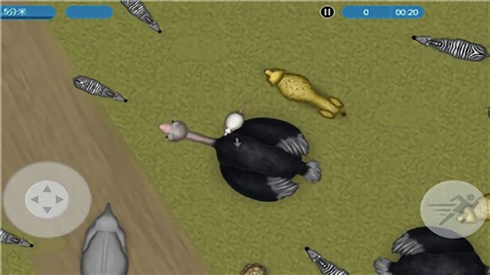 ��ζ���������è��Ϸ