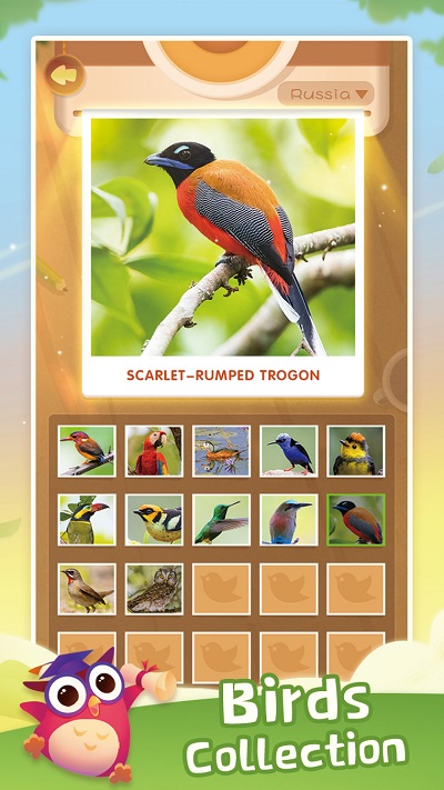 С������ƴͼ��Ϸ