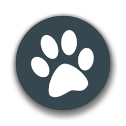 ��������app