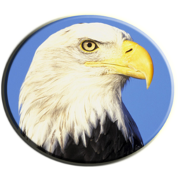 ��ѧ����app