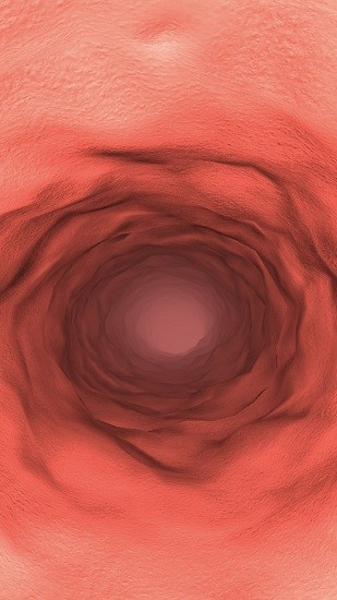 ����̽�����°�����