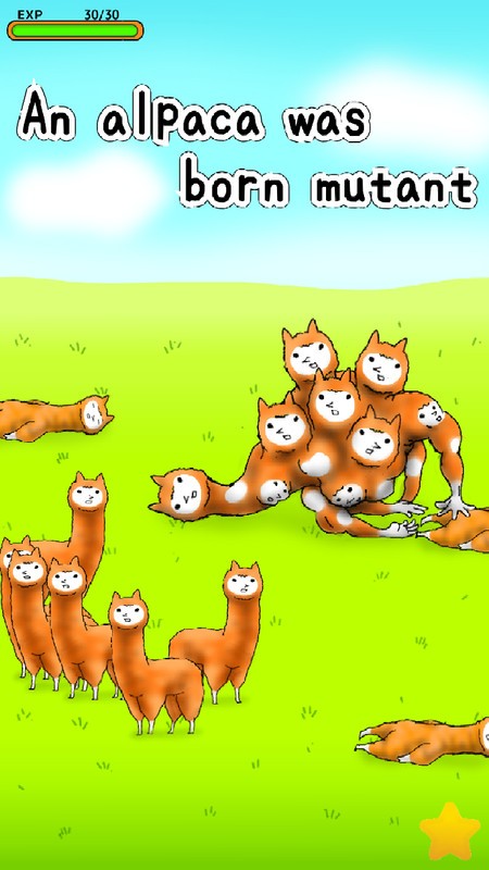 �ֹ���������°�����