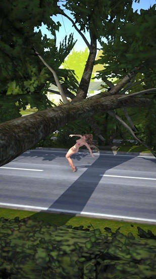 ����3d����