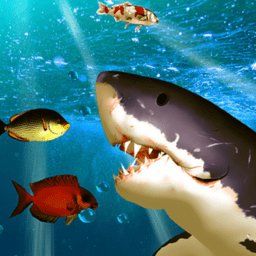 ��������2021���°�