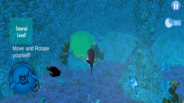 ��������2021���°�