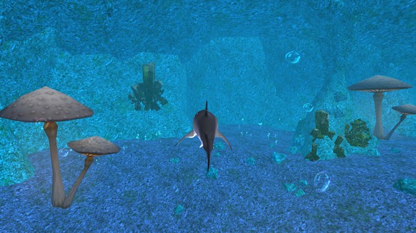 ��������2021���°�